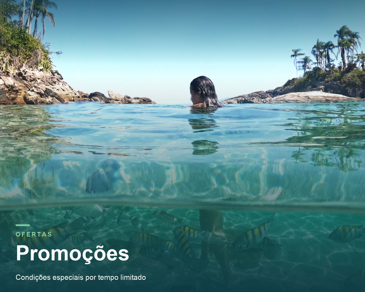 Promoções
