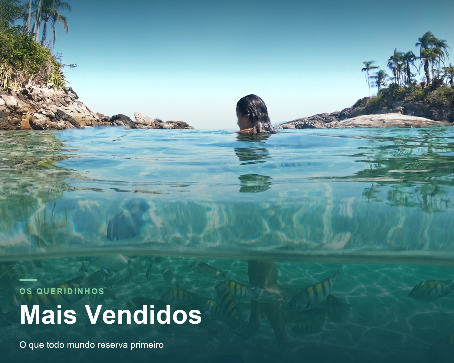 Mais Vendidos