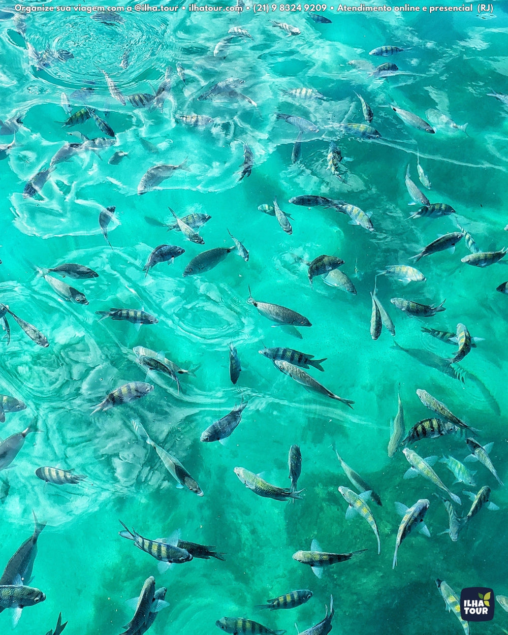 Pacote Lagoa Azul