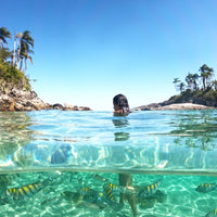 Ilhas Paradisíacas