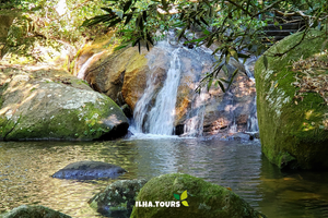  7. Imersão na natureza! 