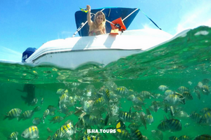  5. Vida marinha abundante 